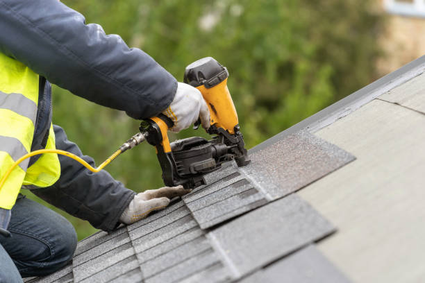 Best Roof Moss and Algae Removal  in Addison, WV